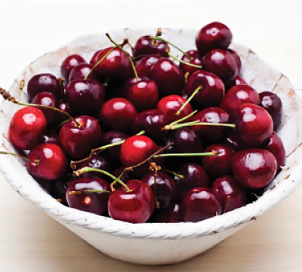 Tart Cherry Maximum Strength 1500mg Extract - 90 Vegetarian Capsules - Gout Pain