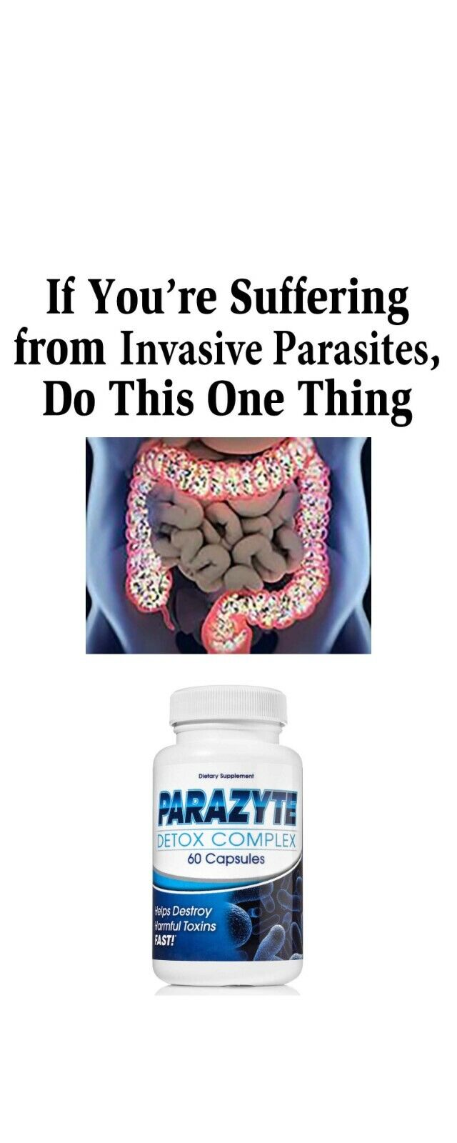 ParaZyte Intestine Support With Wormwood, Black Walnut Hull, Pau D' Arco