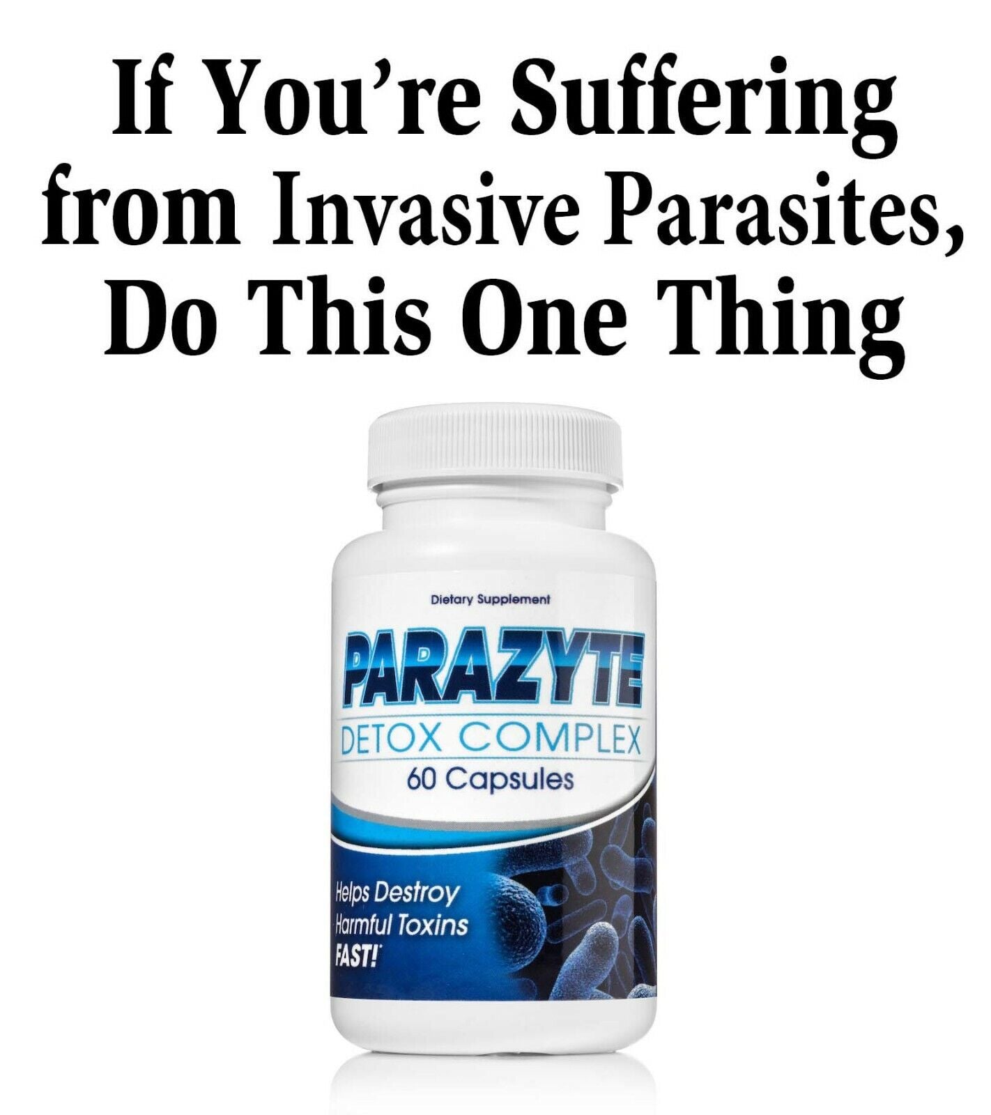 ParaZyte Intestine Support With Wormwood, Black Walnut Hull, Pau D' Arco